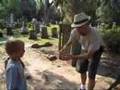 Bonaventure Cemetery