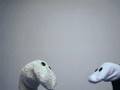 Socken-TV Folge 4