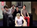 One Direction - Tour Video Diary 3