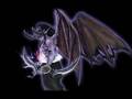 World of Warcraft Night Elf Tribute