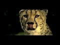 TV Commercial of Mahindra XUV500 videos
