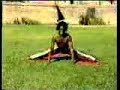 capoeira pose