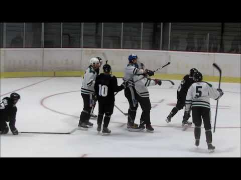 Backhand goal in pre-season match against HC Samson České Budějovice Czech 4