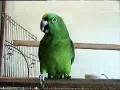 View Video