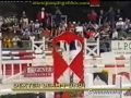 Poneys Célèbres
