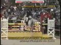 Poneys Célèbres