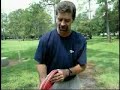 Disc Golf at Northside Park in Gainesville, Fl