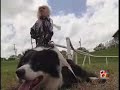 Monkey Riding A Dog