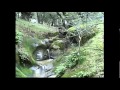 California State Parks: Russ Christoff visits Mount ...