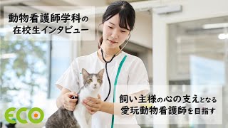 北海道エコ　Youtube Pickup!