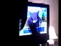 Pokemon battle *request* Pokemon battle *request*