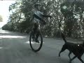 Taking the dog the for a unicycle ride