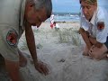 Loggerhead turtles hatch at Shark Bay