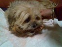 Dont Mess with the Gizmo