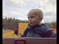 cooper aurelio on tray of classic truck in gjern cooper aurelio on tray of classic truck in gjern