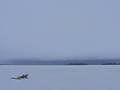 Snowkiting in December, Dryden Ontario