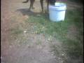 All Creatures Great and Small 'Shelter' Shame Part 1
