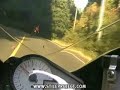 Moto Accident Sanglier
