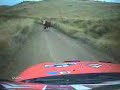 rally car hit a cow - accident - crash