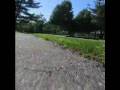 videos de Traxxas T-Maxx onboard camera street running
