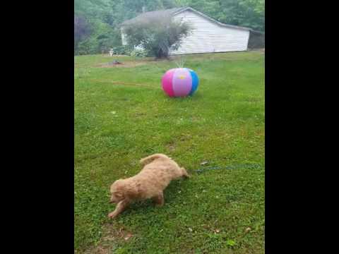All of us playing in the front yard