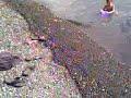 A day at Kapoho