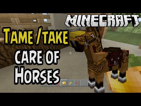 how to make a horse love u in minecraft