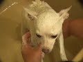 Bath Time