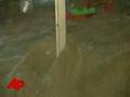 Raw-Video-Tropical-S