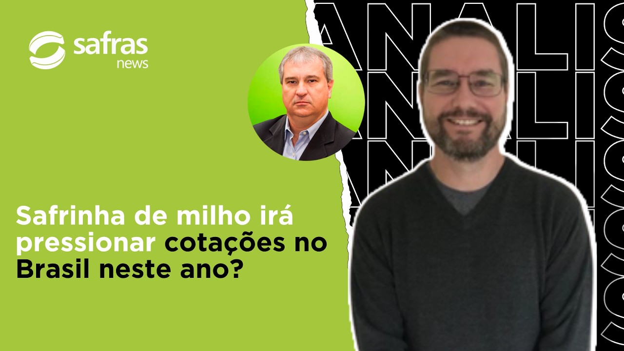 Que fatores devem influenciar mercado de milho no segundo semestre? Conversa com o analista