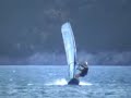 vassiliki windsurf stelios27