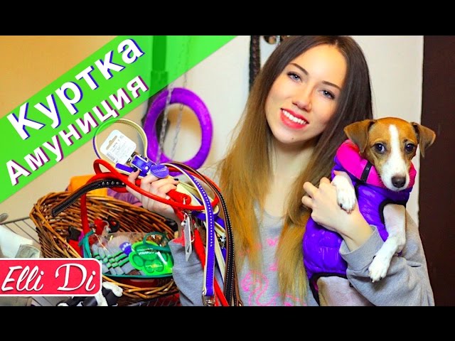 ХРАНЕНИЕ ВЕЩЕЙ МОЕЙ СОБАКИ - ОБЗОР НОВОЙ КУРТКИ AIRY VEST - АМУНИЦИЯ COLLAR | Elli Di Pets