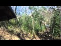 Mazeppa Hare Scramble -Lap 1