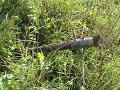Прокалывающая установка ПУ-2