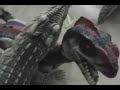 Crocodile vs. Raptor from Jp from EL