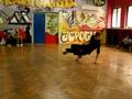Me and my first breakdance competition
