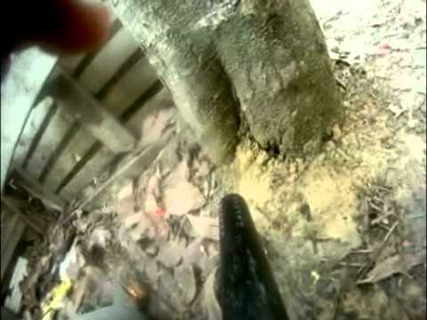 Imagem de Amostra do You Tube