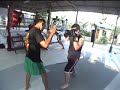 Tiger Muay Thai Training Session #1