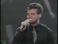 Luz Verde, Luis Miguel, El Concierto