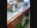 videos de phil haley and his comments