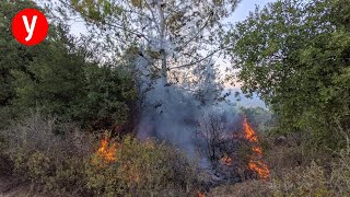 מאיר רובין: ערבים ניסו לרצוח אותי ואת ילדיי ביער