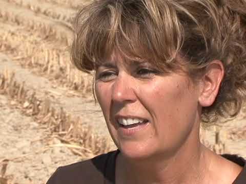 drought - Read, listen and learn English with a 30 minute VOA documentary about the 2012 drought in the United States.