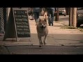 Hachiko: A Dog's Story Trailer (Japanese version)
