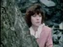 Survival of the Cybermen - The Five Doctors