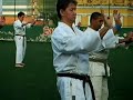 nikkei-28-anos-kata-tensho-seigokan.html
