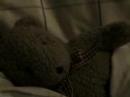 Mr. Bear 8 - Hibernation 1