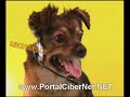 Lipigas Remix - MichaelDj Lipigas Remix - MichaelDj