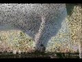 tornados