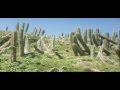 Venezuela - Isola Margherita