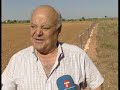LA DENSA POBLACIÓN DE CONEJOS AMENAZA A LA AGRICULTURA LA DENSA POBLACIÓN DE CONEJOS AMENAZA A LA AGRICULTURA